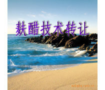 產(chǎn)品庫技術轉讓 優(yōu)勢、要點與實施策略